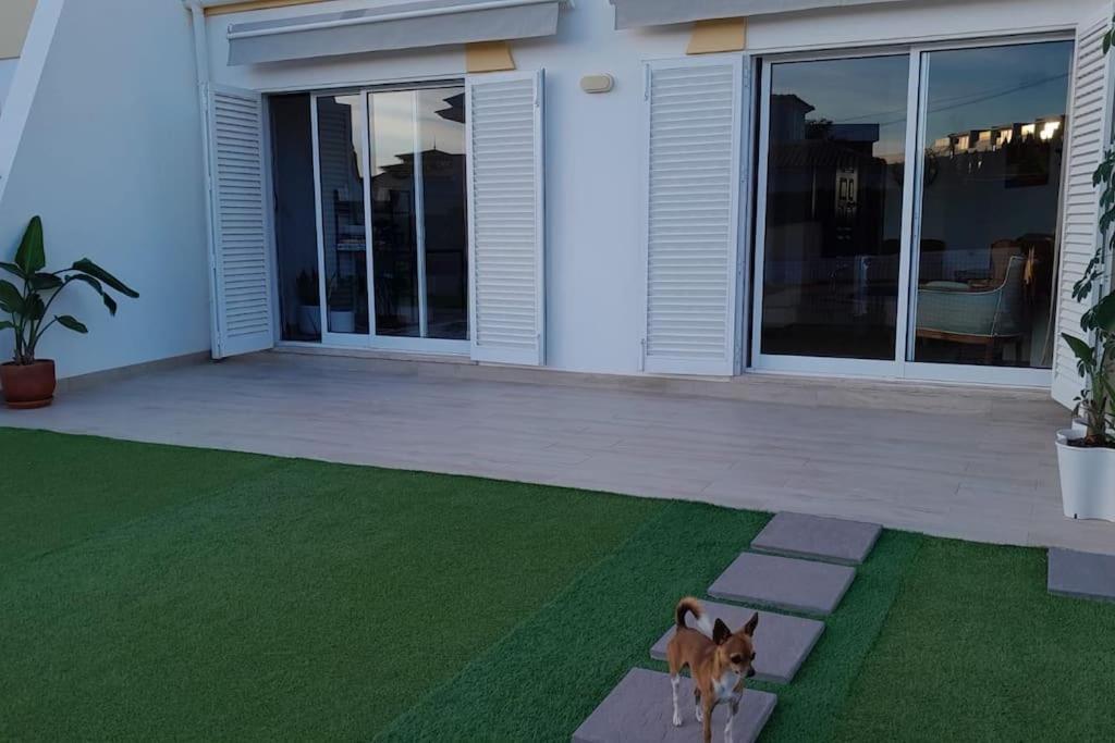 Gale Premium House - Pet Friendly Villa Albufeira Buitenkant foto