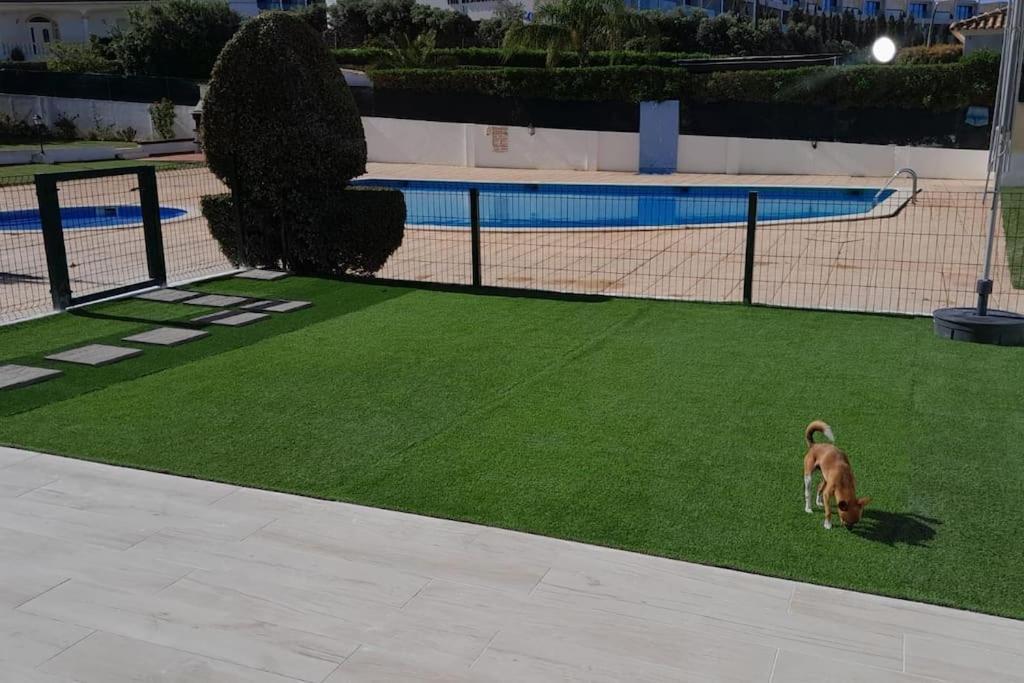 Gale Premium House - Pet Friendly Villa Albufeira Buitenkant foto