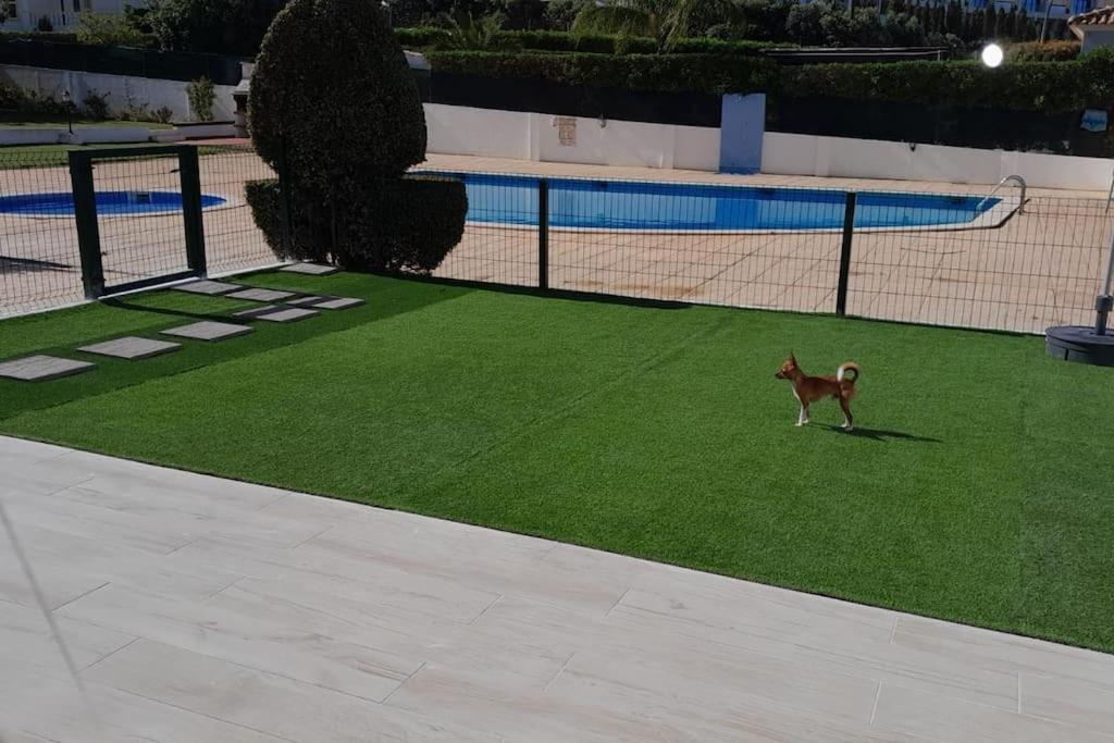 Gale Premium House - Pet Friendly Villa Albufeira Buitenkant foto